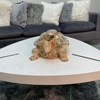 14" Gold Plated Crystal-Set Decorative Turtle Sculpture