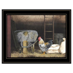 Chicken Feed Framed Wall Print by Billy Jacobs in Black Wood Frame