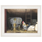 Chicken Feed Framed Wall Print by Billy Jacobs in White Wood Frame