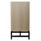 Natural Rattan Door Accent Cabinet with Metal Frame - Set of 2