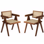 Mid-Century Rattan Accent Dining Chairs, Set of 2, Walnut - Elirian